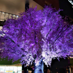 Tokyo Fashion Week SS27: talenti, sfide e corsa verso Parigi